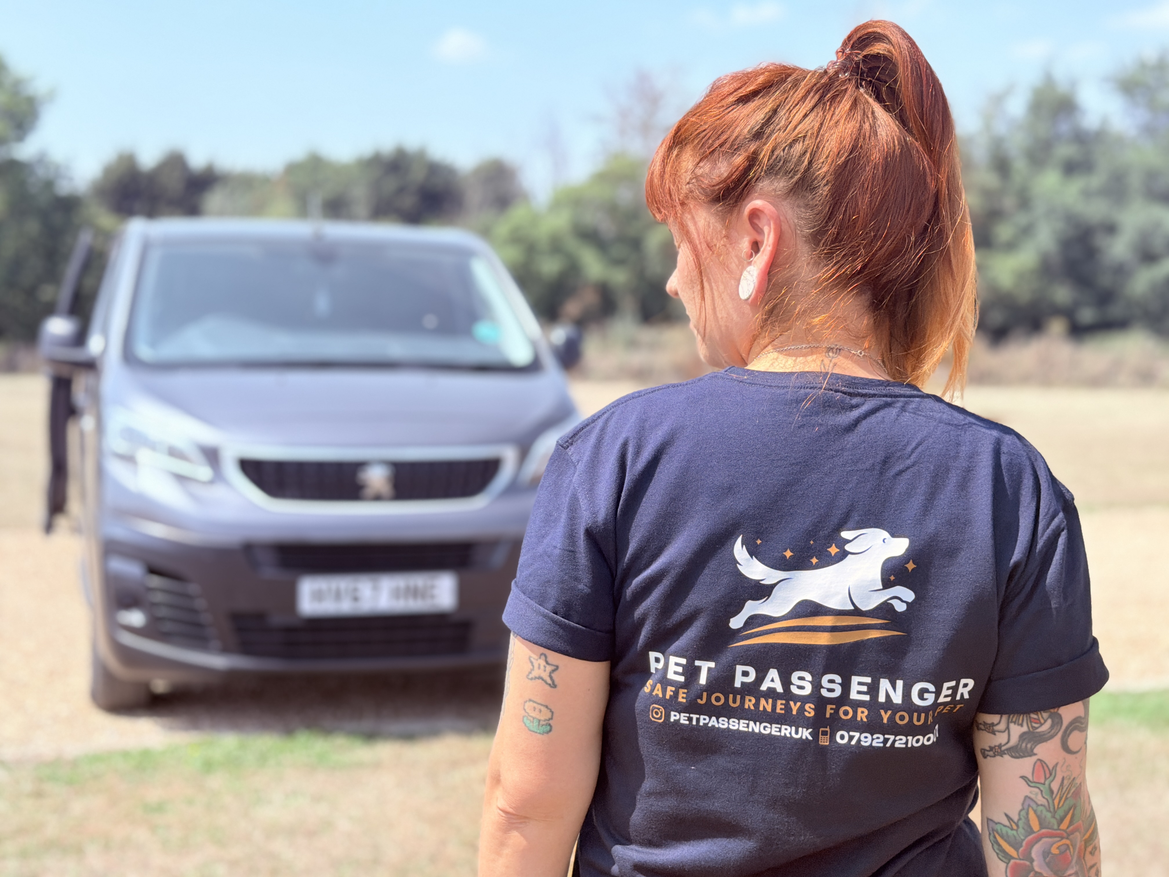 Dog in Pet Passenger vehicle
